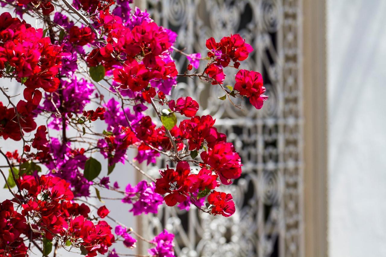 Riad Clementine Marrakesh Eksteriør bilde